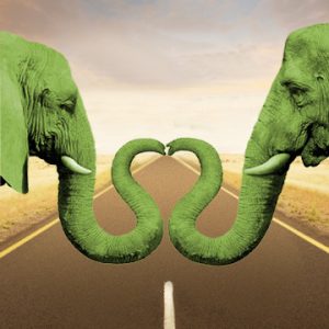 2ElephantsForminHeart